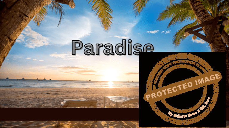 Read more about the article Paradise Papers: Tax Compliance or Leaks?