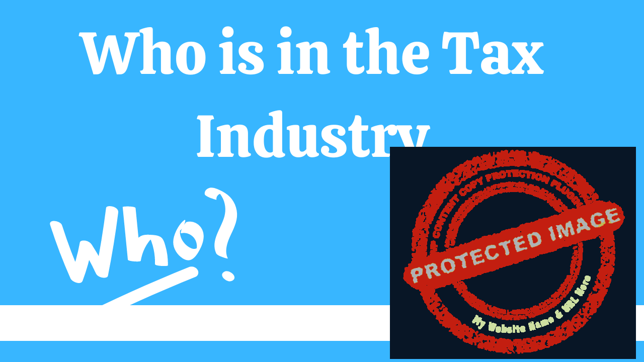 You are currently viewing Who is in the Tax Industry