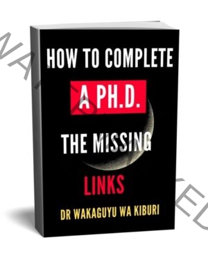 How To Complete A Ph.D: The Missing Links