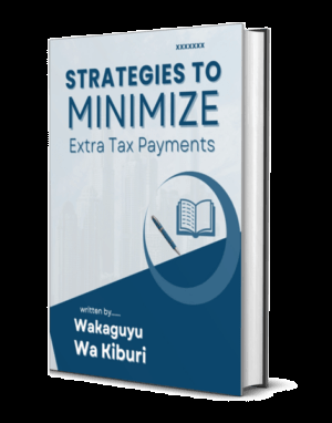 Strategies To Minimise Extra Tax Payments