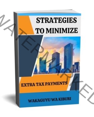 Strategies To Minimise Extra Tax Payments