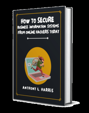 How To Secure Business Information Systems Online