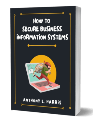 How To Secure Business Information Systems Online