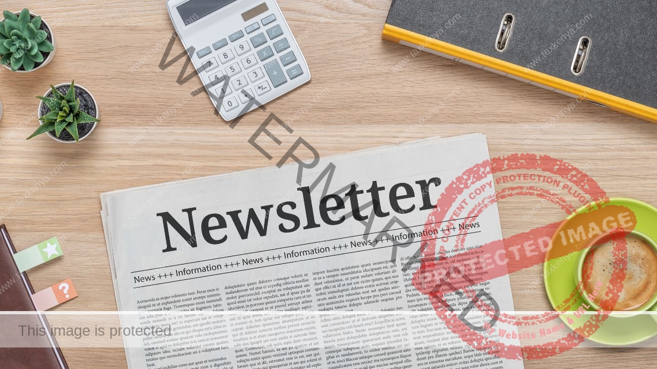 Read more about the article Introducing T-K Business Newsletter