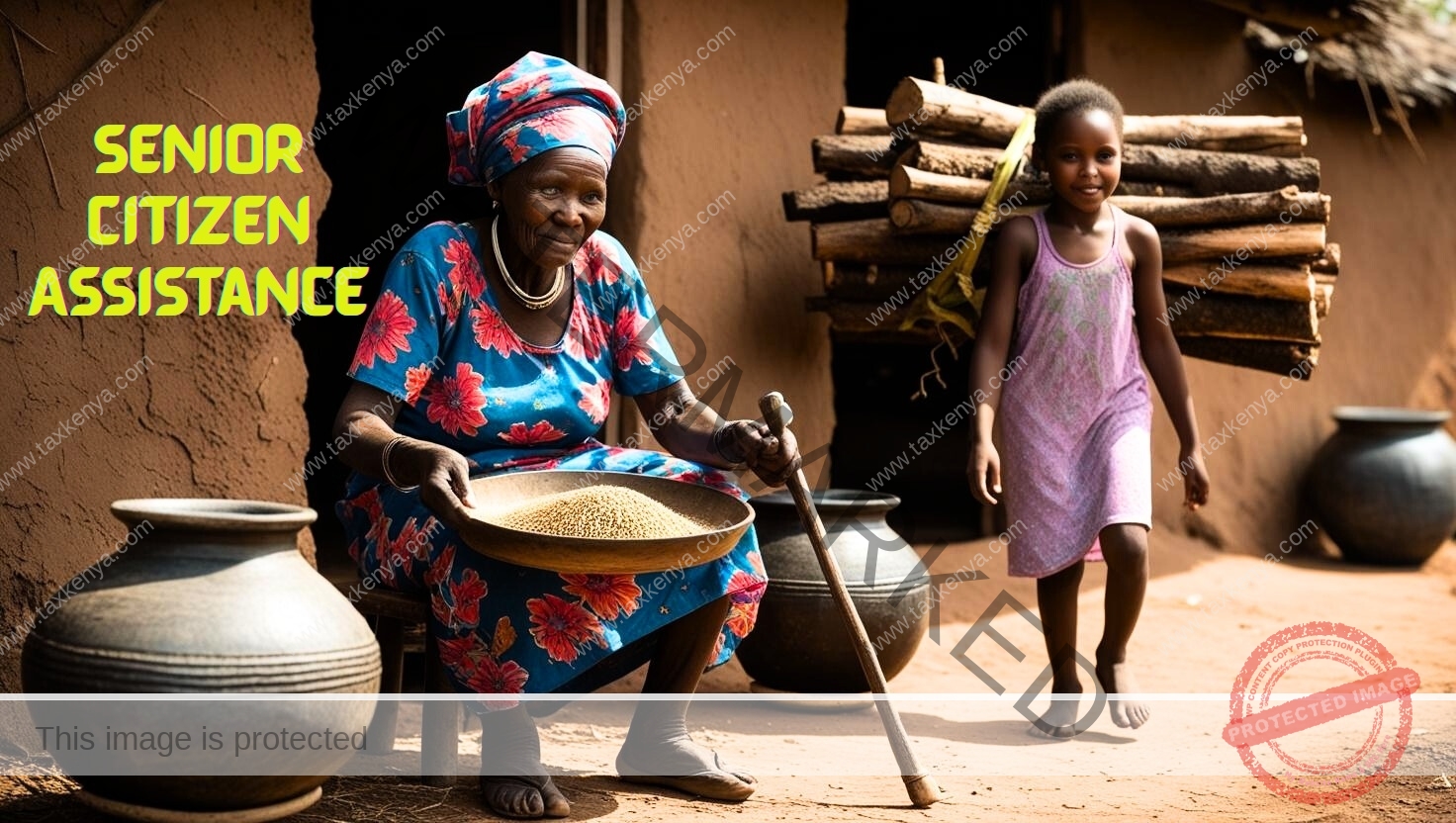Read more about the article How to Apply for Senior Citizen Assistance in Kenya: A Step-by-Step Guide