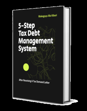 5 Steps Tax Debt Management System